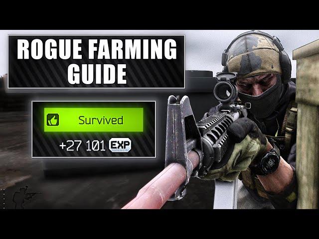 UPDATED ROGUE FARMING GUIDE (Patch 0.14.01)