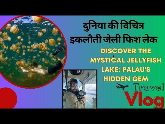 Unveiling the Enchanted Jellyfish Lake: Palau's Hidden Marine Paradise