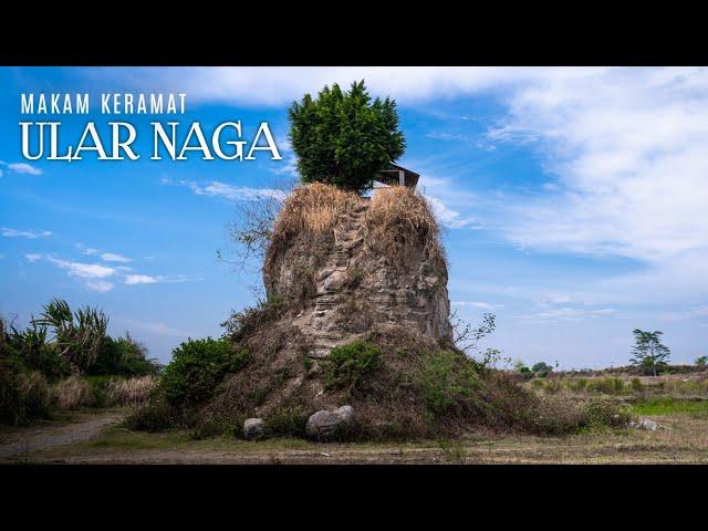 Ternyata Ular Naga Itu Bukan Mitos Ini Lho Buktinya | Makam Keramat Ular Naga Jawa Timur