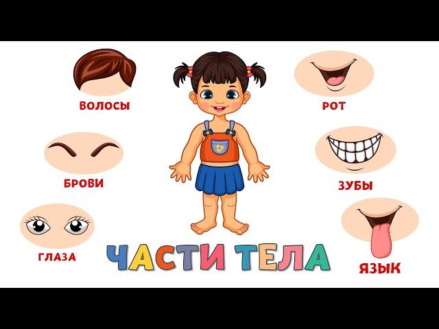 Учим части тела для детей Развивающие мультики для малышей