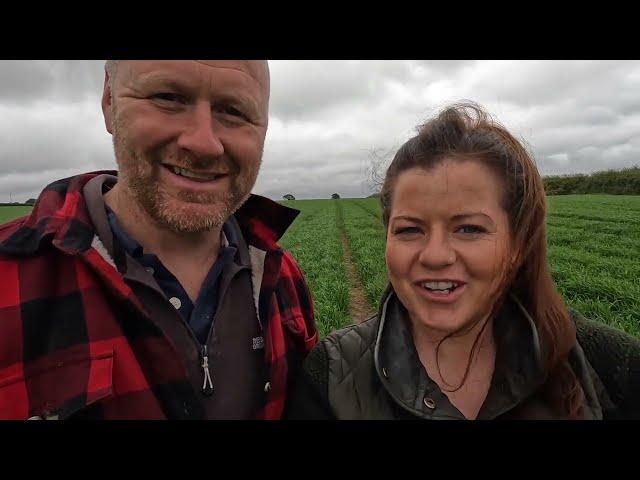 TRACTORING! Getting the SPRING WHEAT and FODDERBEET planted on our WELSH DAIRY FARM