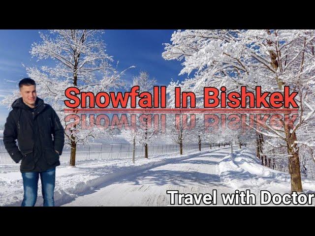 Snow falling in Bishkek 2021 |Drone view |Снегопад в Бишкеке Кыргызстан 2021