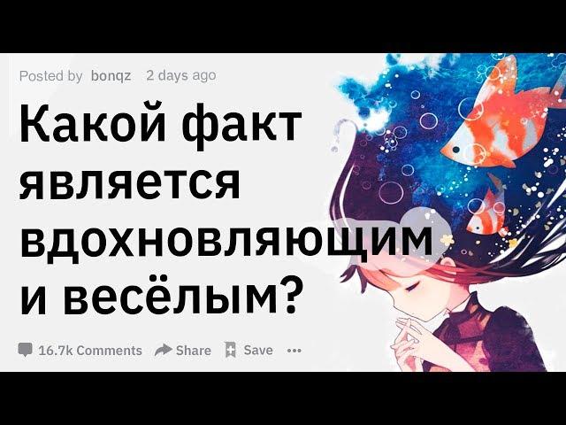 (Апвоут) Какой факт является воодушевляющим и весёлым?