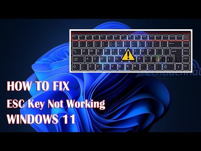 ESC Key Not Working In Windows 11 - 4 Fix How To