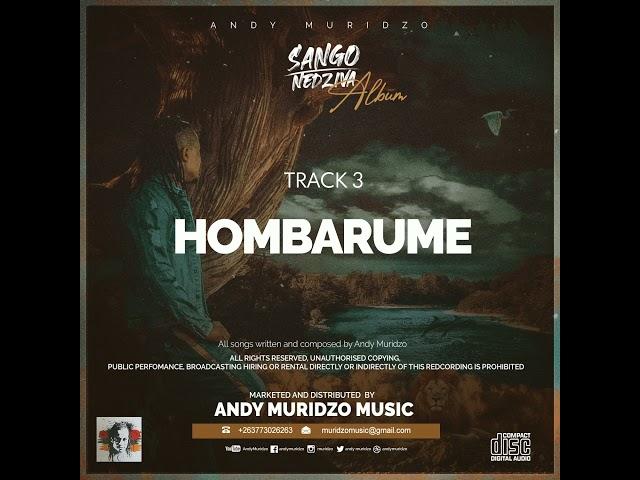 Andy Muridzo - Hombarume