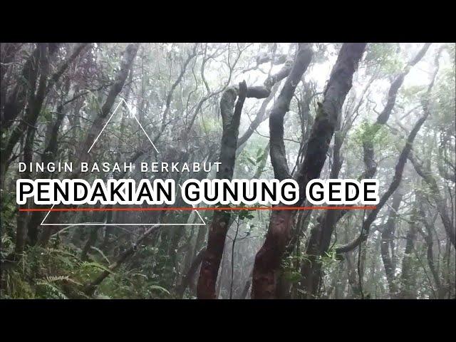 YANG GA KUAT DINGING MENDING JANGAN NAIK, PENDAKIAN GUNUNG GEDE via PUTRI 14.00 WIB