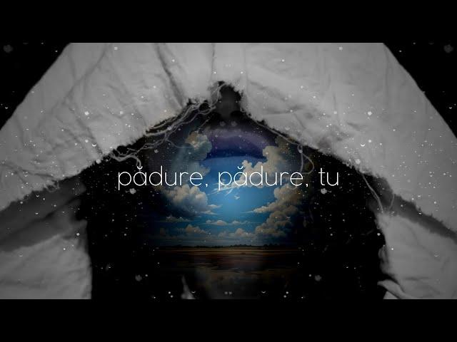 GMJ, Matter x Irina Rimes - EXT 135 x Pădure (nuson edit) | LYRICS VISUALIZER