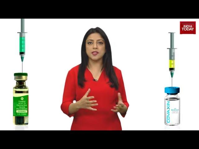 Covishield Vs Covaxin: Similarities And Differences Between India's Covid Vaccines | Explained IT