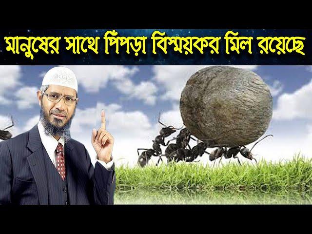 কুরআনে পিঁপড়া বিস্ময়কর রহস্যের কথা বলেছে ।। ডাঃ জাকির নায়েক