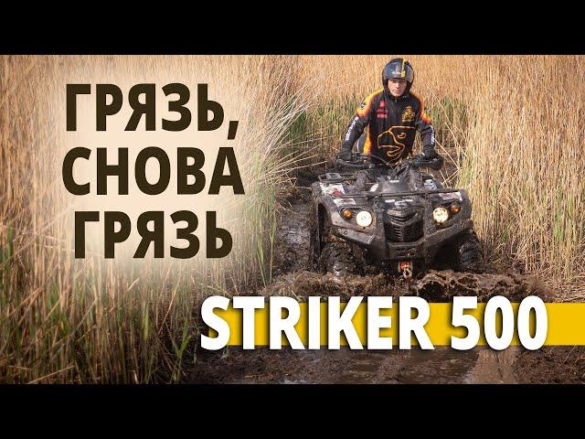 Шторм на болотах | Квадрицикл STRIKER 500