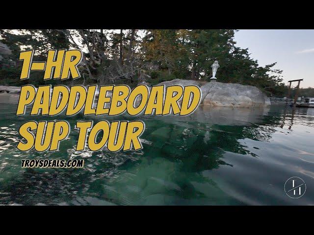 Amazing paddleboard sup tour near Ardmore in North Saanich BC. Whale spotted!