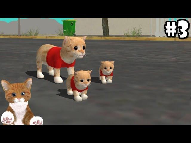 Cat Sim Online: Play with Cats - Cute Baby Kitten - Android / iOS - Gameplay Episode 3