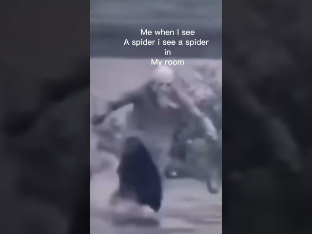 Me when I see a spider in my room