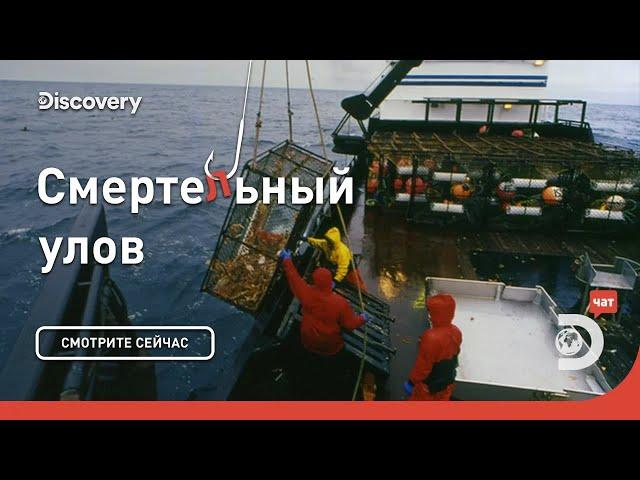 Все или ничего! | Смертельный улов | Discovery