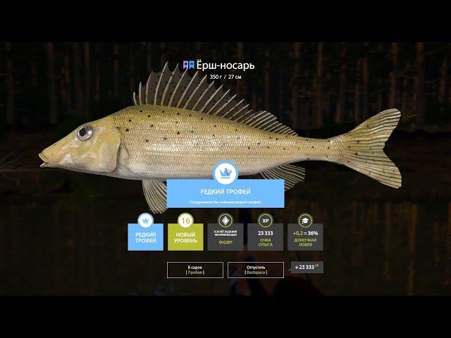 РЕДКИЙ ТРОФЕЙНЫЙ ЁРШ НОСАРЬ. Русская рыбалка 4. р. Вьюнок.