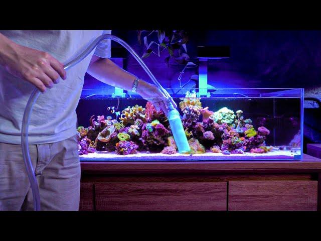 My Low Tech Reef Tank Maintenance Routine