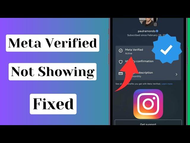 How to Fix "Meta Verified Instagram Not Showing" Problem