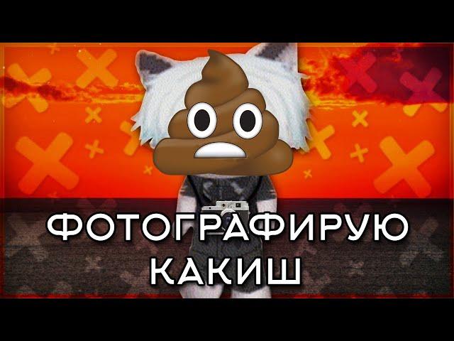 Богдан любит какиш + Фотографирую закат [mashup]