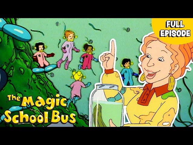 How a Cucumber Becomes a Pickle | In a Pickle | Full Episode | The Magic School Bus