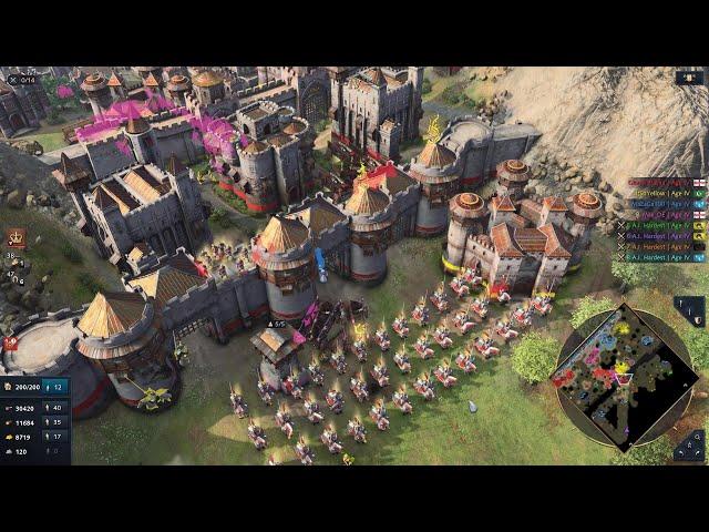 Age of Empires 4 Multiplayer Co-op - Defensive Masterpiece at Mountain Pass (4v4)