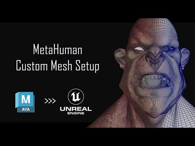 MetaTransfer - Custom Mesh Setup (Maya to Unreal Tutorial)