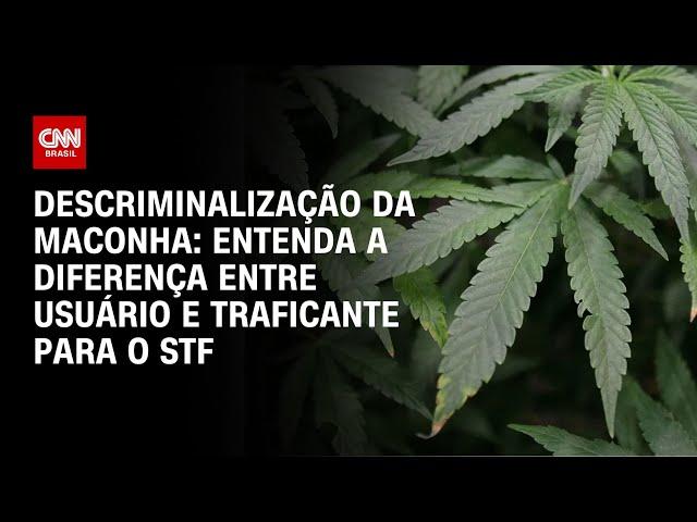 Descriminalização da maconha: entenda a diferença entre usuário e traficante para o STF | LIVE CNN