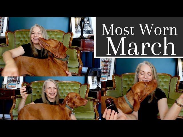  My Top 16 Perfumes of March 2024 (and Poppy being needy for half the video) | #perfumecollection