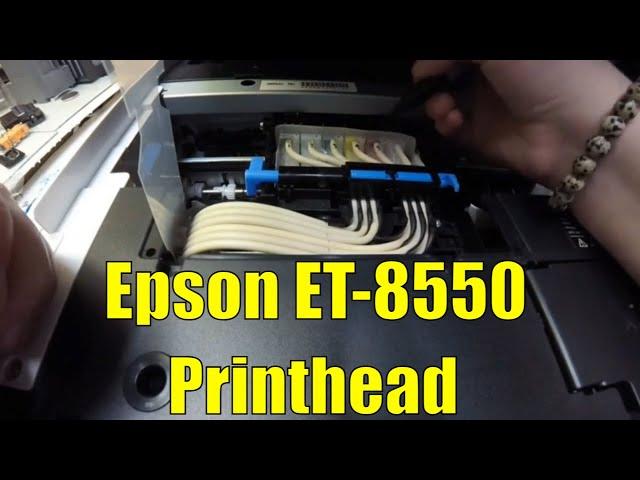 Discover How to Easily Replace an Epson ET-8550 Printhead!