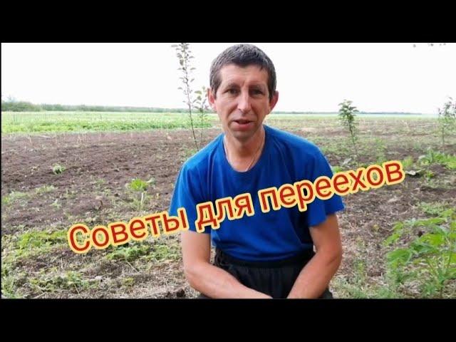 Советы для тех кто переезжает #переезд #кубань #краснодар