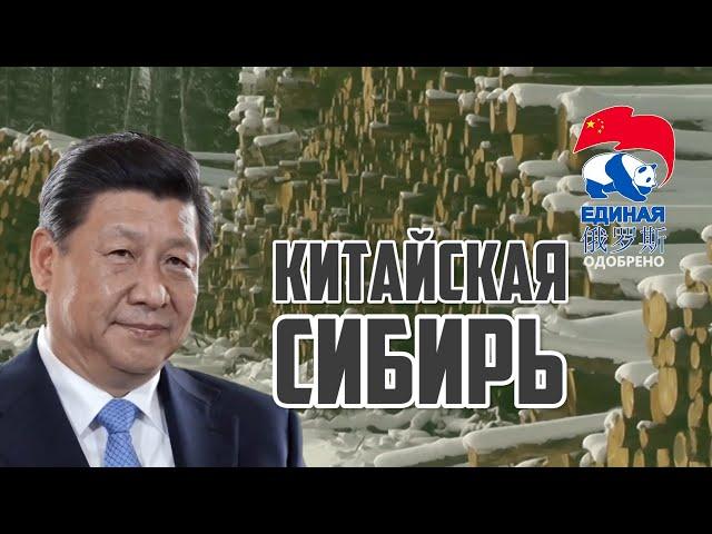 Китайцы в Сибири живут на широкую ногу | Прекрасная Россия