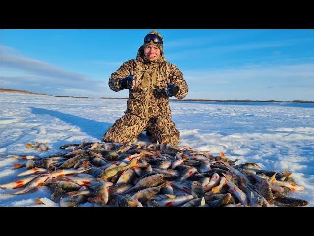 ДИКИЙ КЛЁВ В ДИКИЙ ВЕТЕР!!! ТОННЫ РЫБЫ ПОД ВОДОЙ!!!!