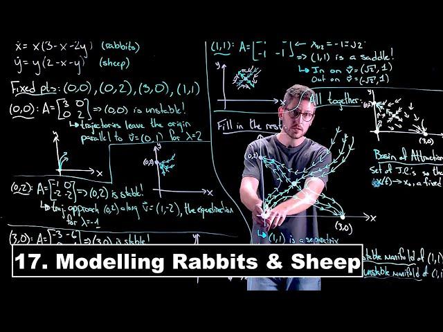 Modelling Rabbits and Sheep - Dynamical Systems | Lecture 17