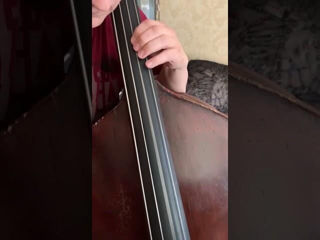 Where does the string vibrate when bowed? In reply to Ricobass0 comment to my Tutorial 2