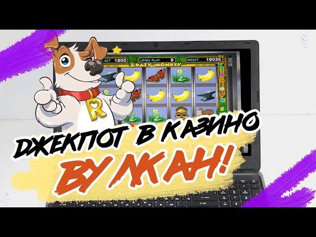 ДЖЕКПОТ В КАЗИНО ВУЛКАН! Дима под столом от радости!