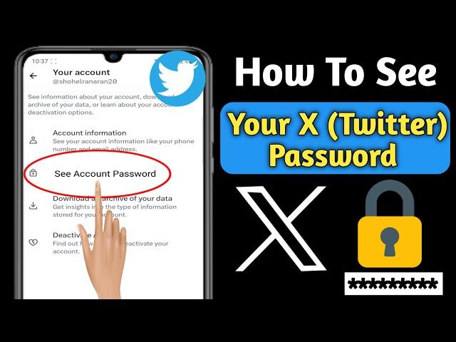 How To See Your X (Twitter) Account Password If Forget It (2023 update) | See Twitter Password