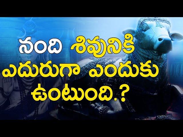 నంది శివునికి  ఎదురుగా ఎందుకు ఉంటుంది? || why Nandiswara in front of the Shiva Statue ?