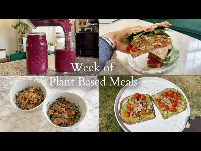 What I Eat In A Week Using My Meal Prepped Foods! WFPB SOS Free