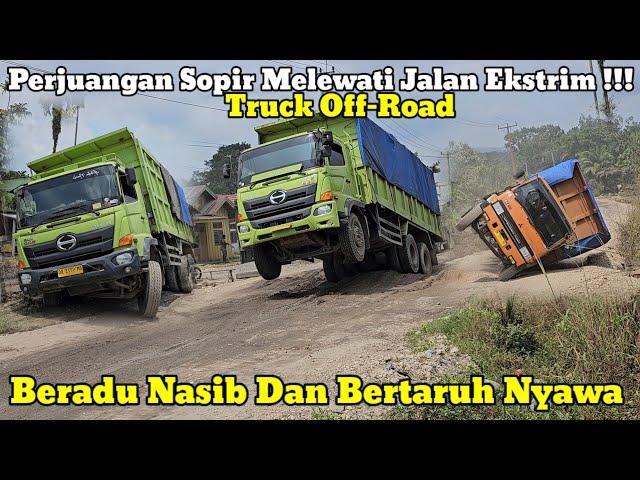 Perjuangan Sopir || Beradu Nasib Dan Bertaruh Nyawa Hingga Truck Terguling