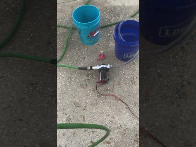 12V Everflo 5.5gpm Soft Wash Bleach pump (test)