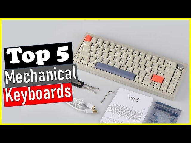 ‍️Best Mechanical Keyboards of 2024 | Top 5 Best Mechanical Keyboards