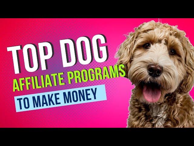  Unleash Your Earnings in 2023 with The Top Dog Affiliate Programs! 