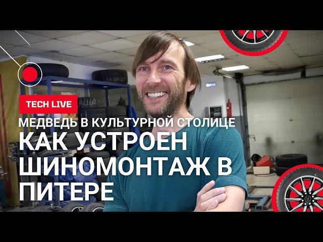 1 серия. Как устроен шиномонтаж в Питере. Вся правда. Делимся знаниями. Медведь в Культурной столице