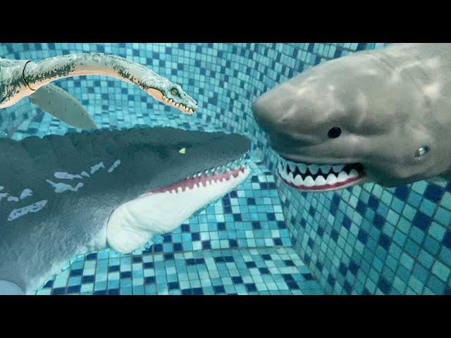 Who Would Win? MEGALODON vs MOSASAURUS Ultimate Battle with Elasmosaurus Jurassic World The Meg