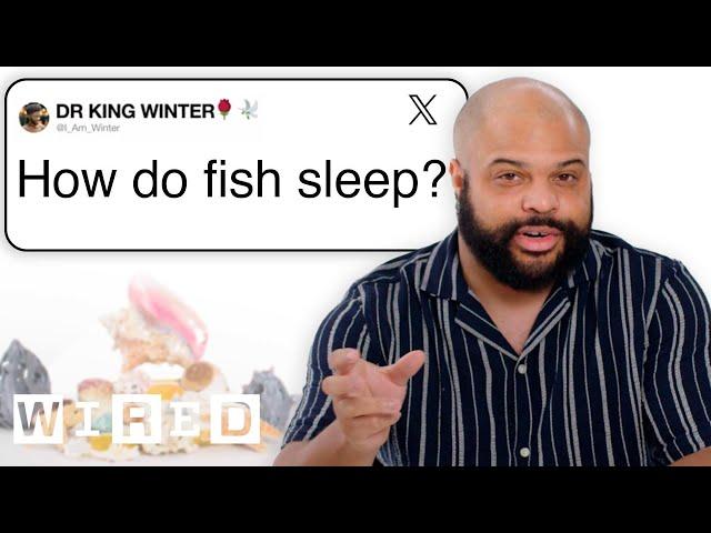 Marine Biologist Answers Fish Questions From Twitter | Tech Support | WIRED