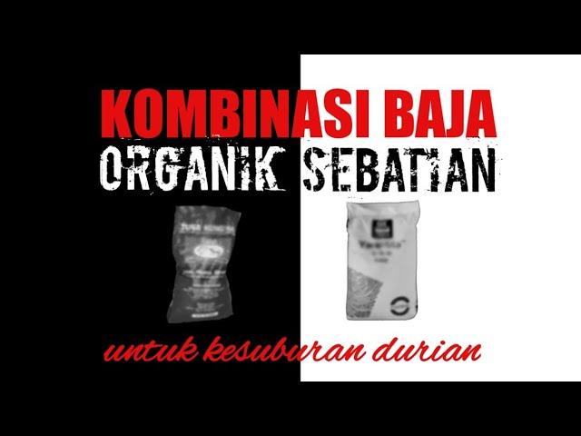 Kombinasi Baja Sebatian Dan Organik