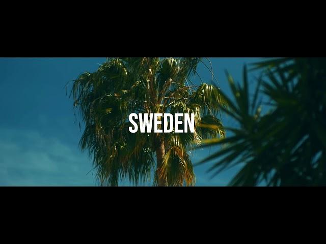 [FREE] "Sweden" - Einar x Dree Low Type Beat | ft. Ant Wan | Guitar Instrumental  (Prod. DY)