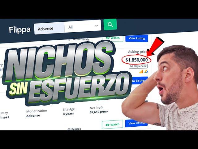 ENCUENTRA NICHOS RENTABLES SIN ESFUERZO 