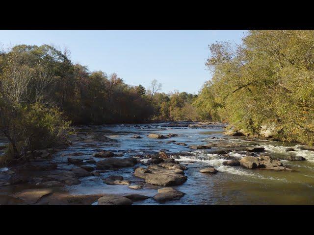 2022 ForeverGreen Annual Awards: Tyger River Foundation, Clean Water Champion