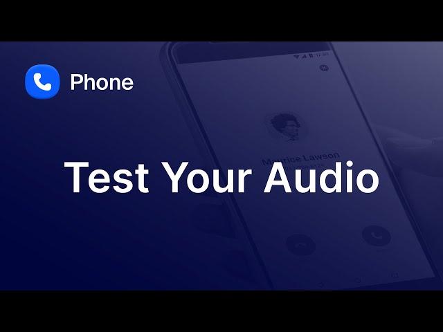 Test Your Audio Settings