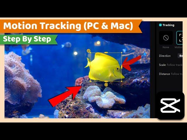 Motion Tracking | CapCut PC Tutorial